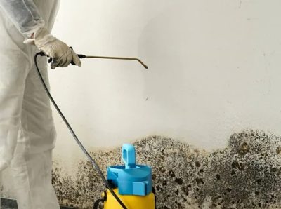 water_mould_damage_cleaners